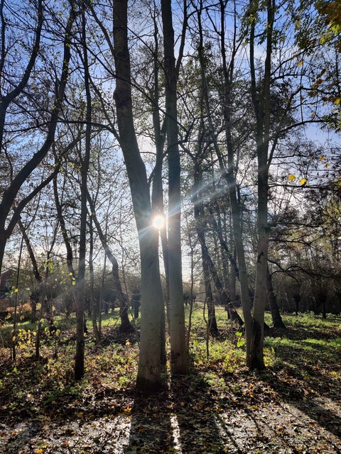 sunny day