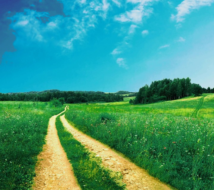 path