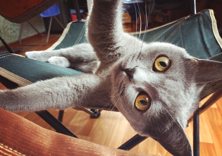 Bonita selfie