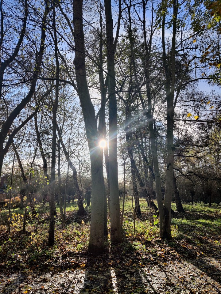 sunny day