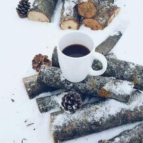 fresh morning