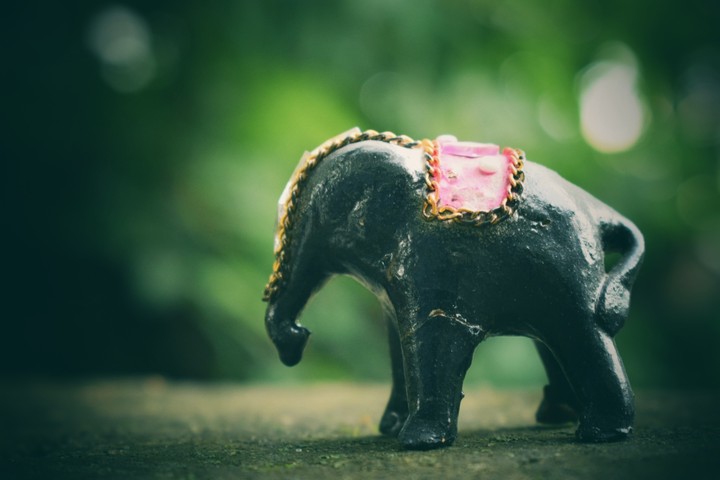 toy elephant