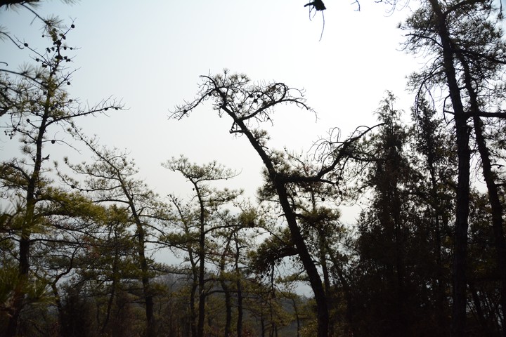 관악산의2월이미지