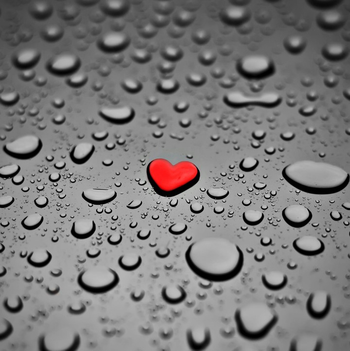 love
