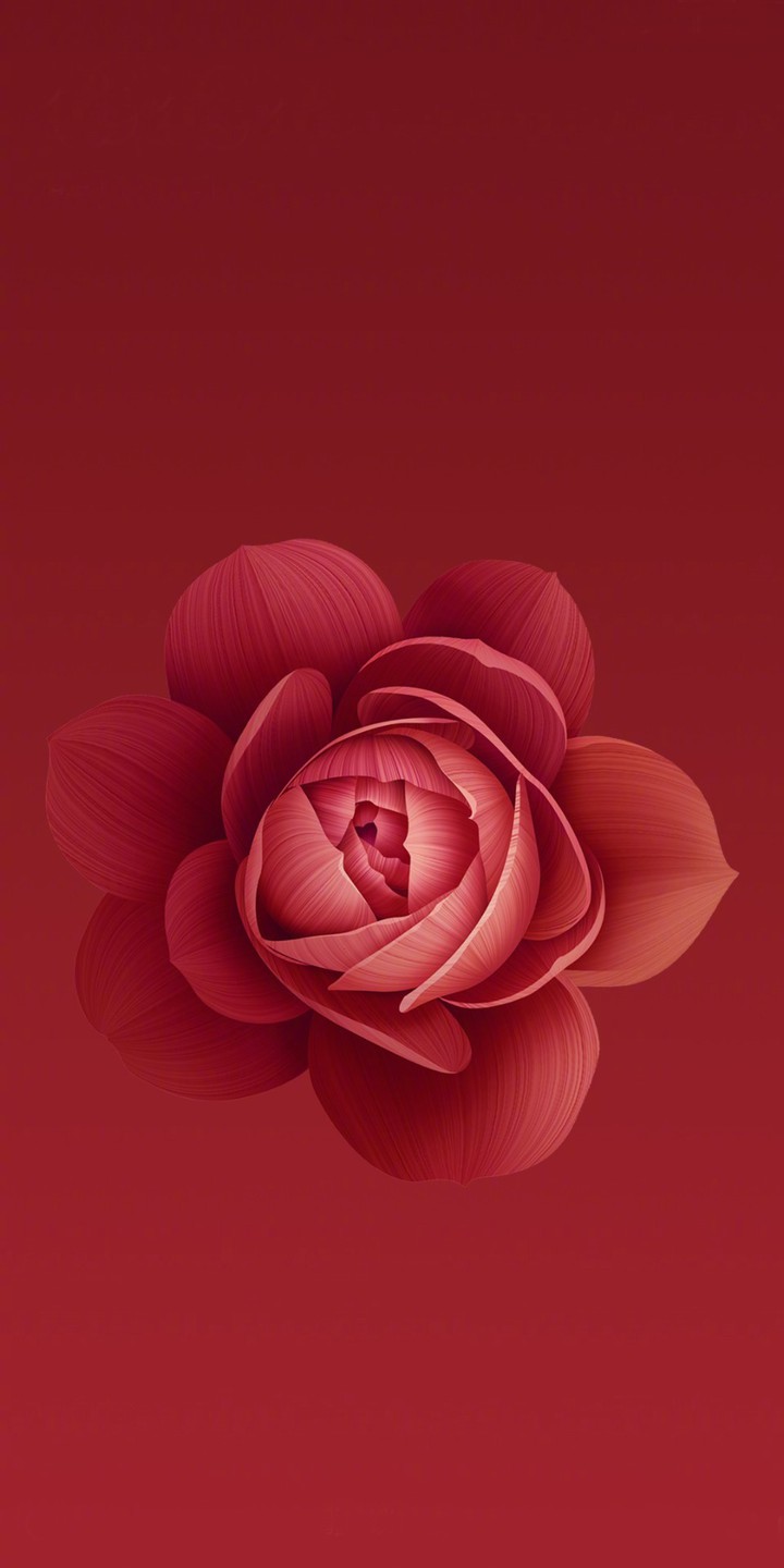 HD