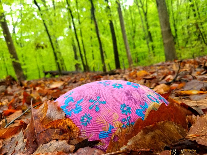 Lost Ball