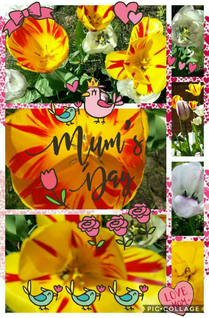 Mum's Day