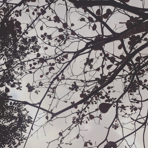 fl my ig: tranbinh_41