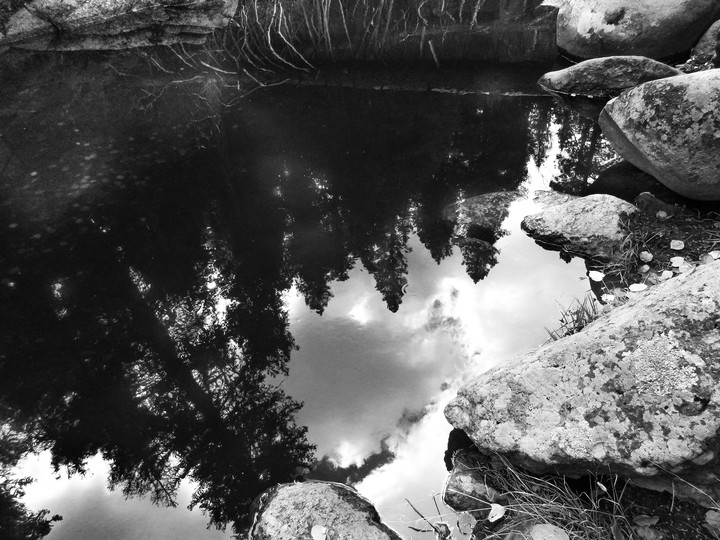 reflections