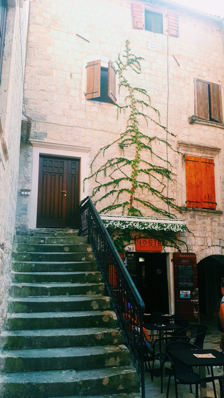 Kotor