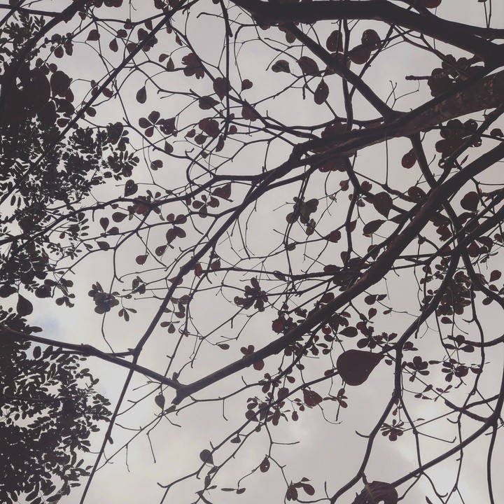 fl my ig: tranbinh_41