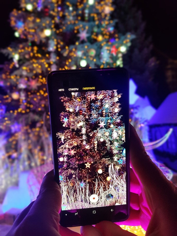 Merry Christmas