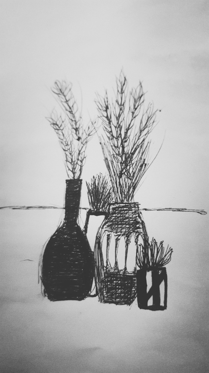 drawing of a plant