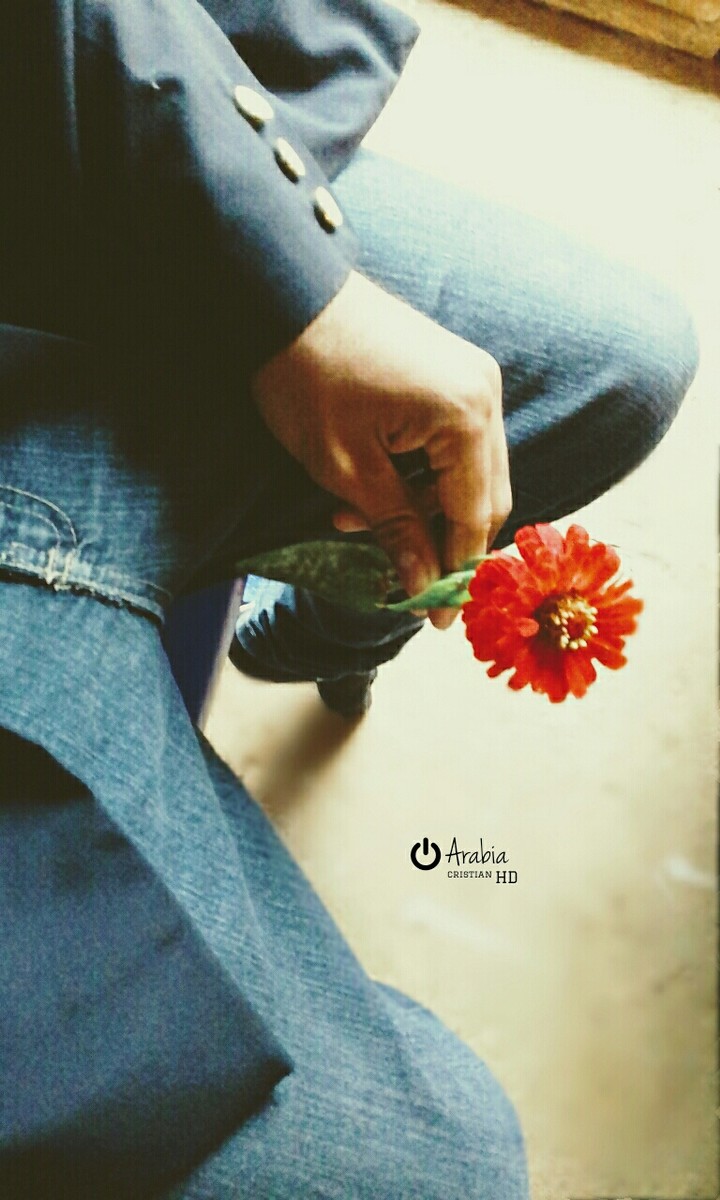 la mujer es como una flor Qué hay que tratarla con amor