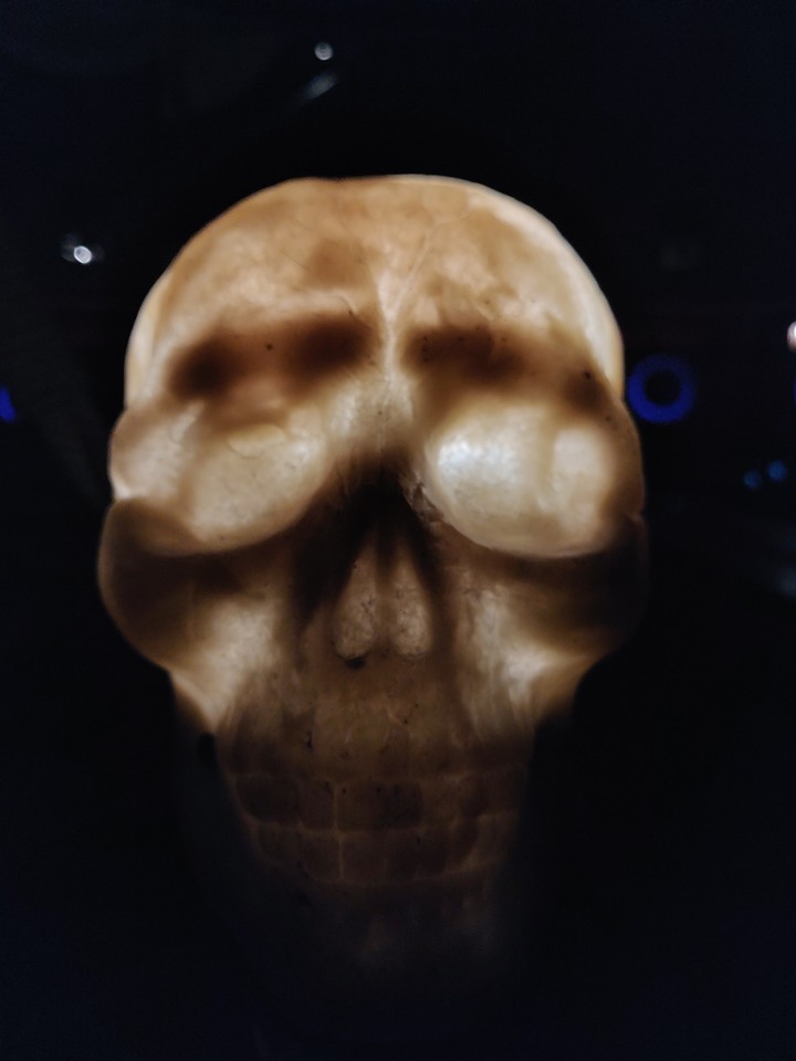 skull