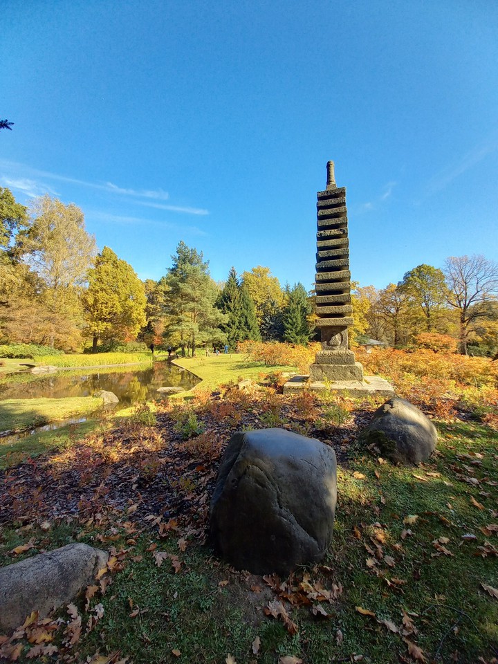 Japanese garden