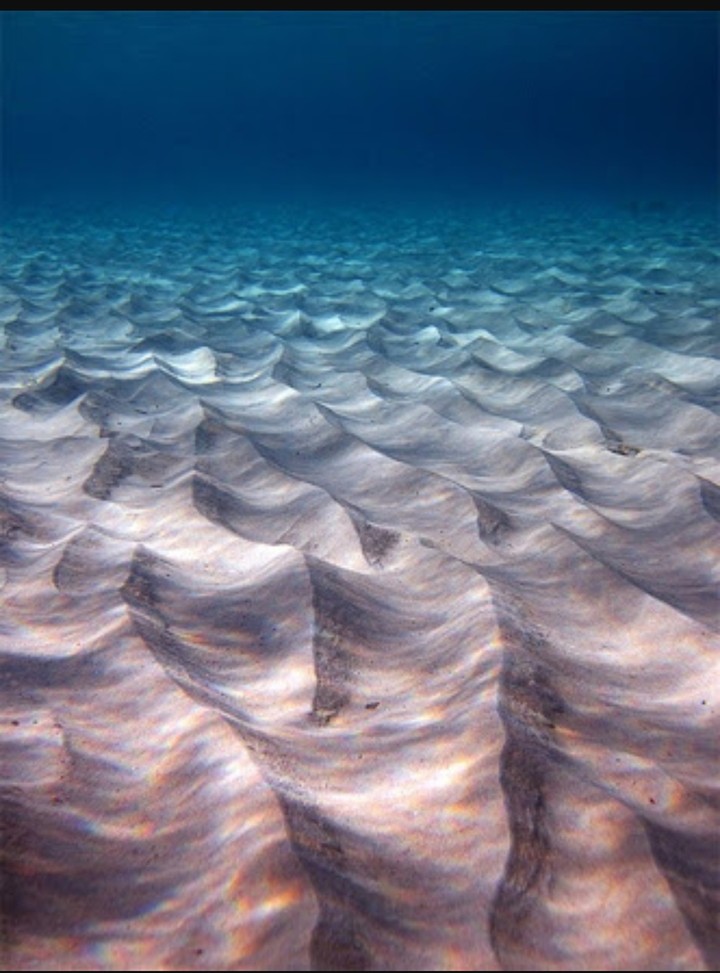 under the sea
