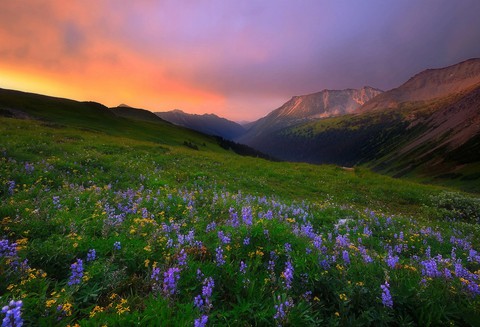 Nature's Beauty