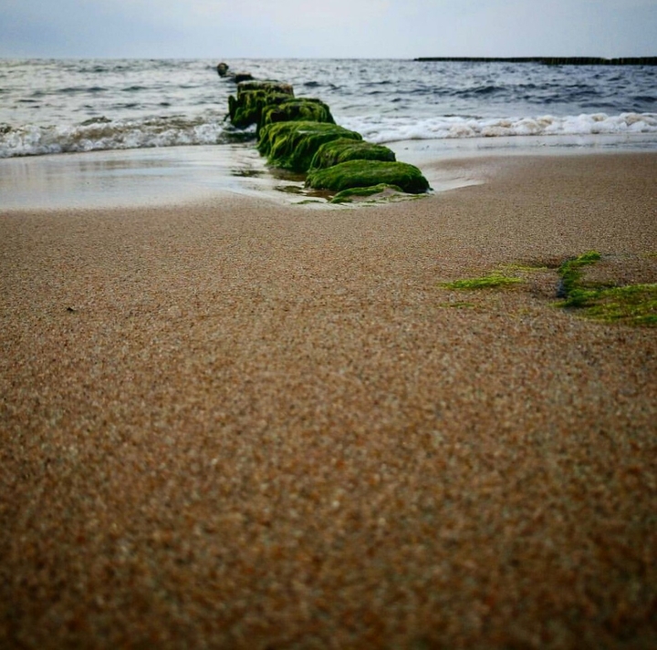 Pure Sand