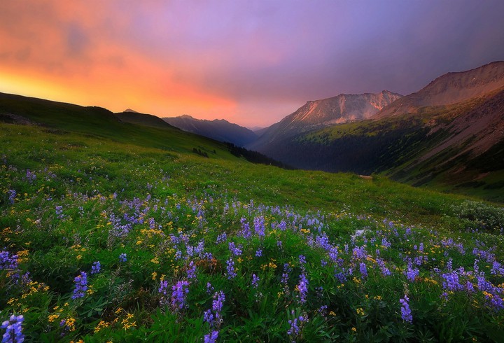 Nature's Beauty
