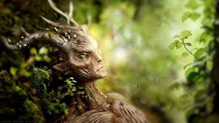 Skyrim spriggan