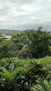 Pune sunny world