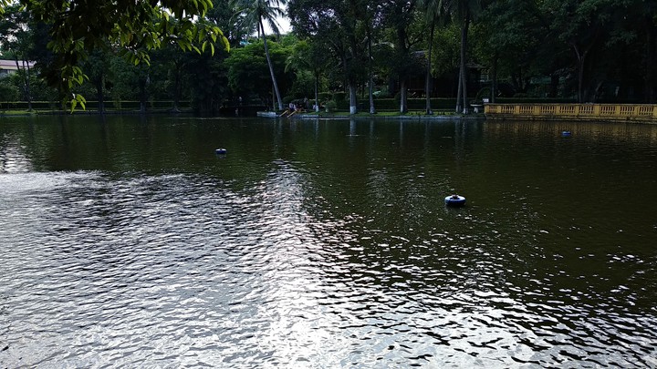 Hồ cá