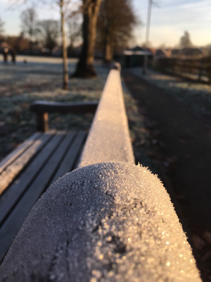A frozen bench