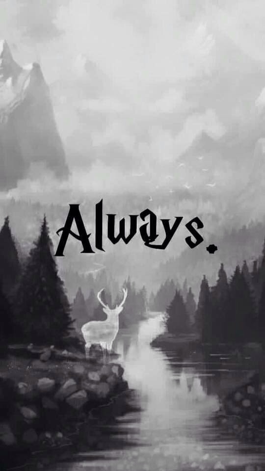 Potterhead