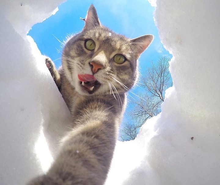 #selfie7