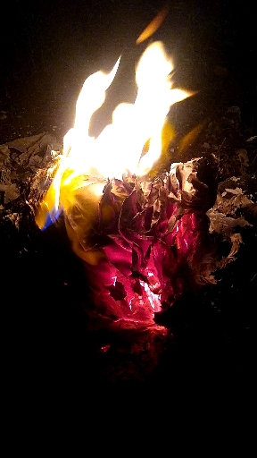 fuego