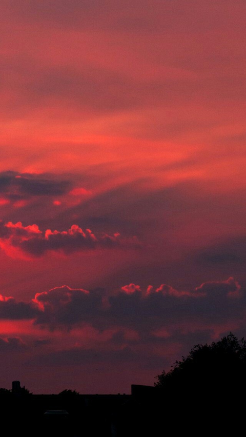 《Aesthetic wallpaper》