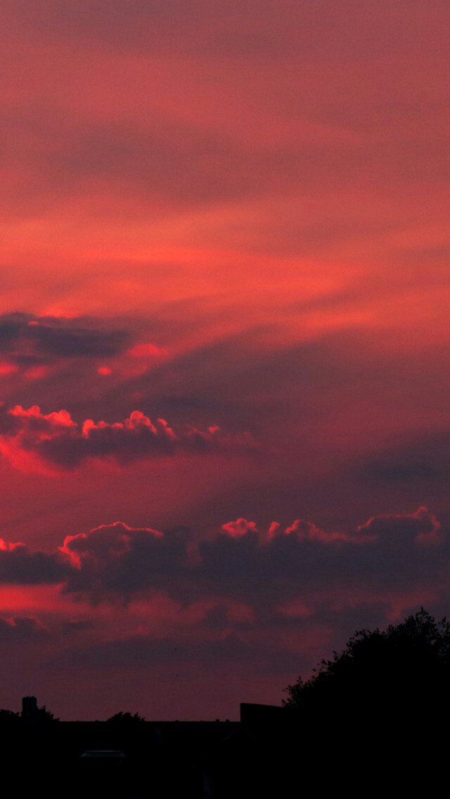 《Aesthetic wallpaper》