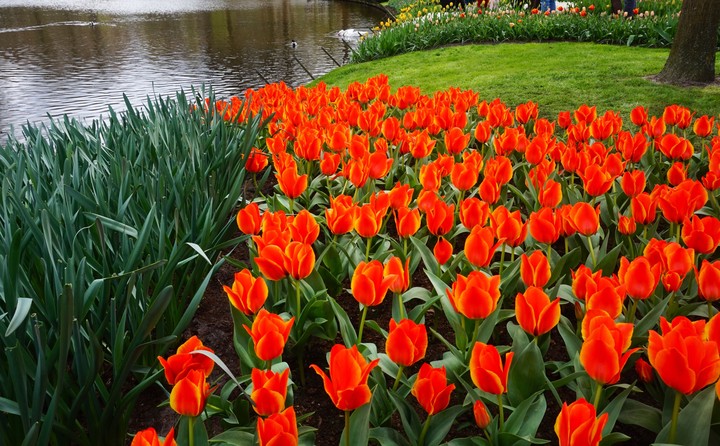 Holland
