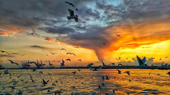 port said