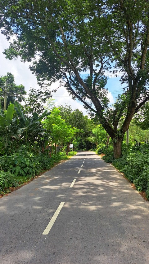 hình nền road, sky