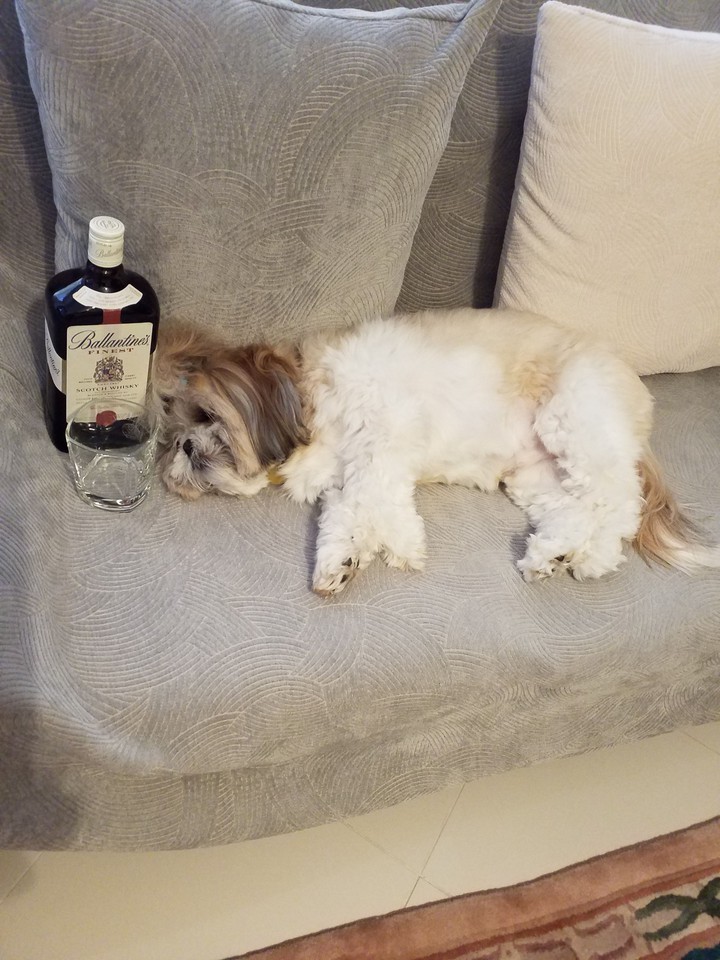 drunk
