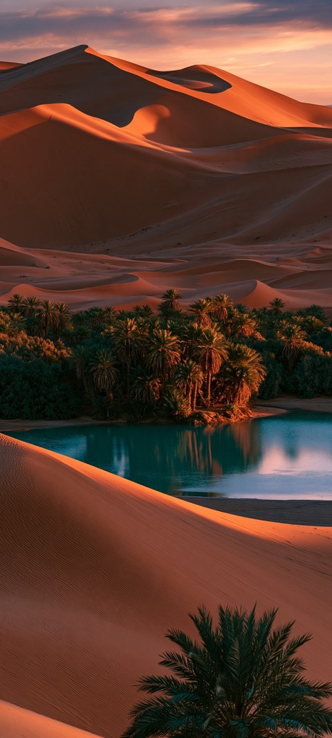 tapety sahara, Dune