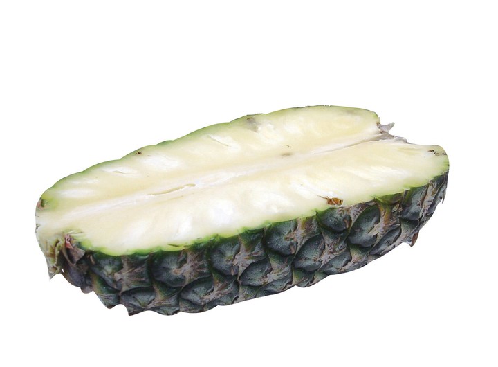 음식이미지