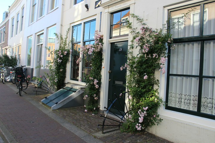 Blumen