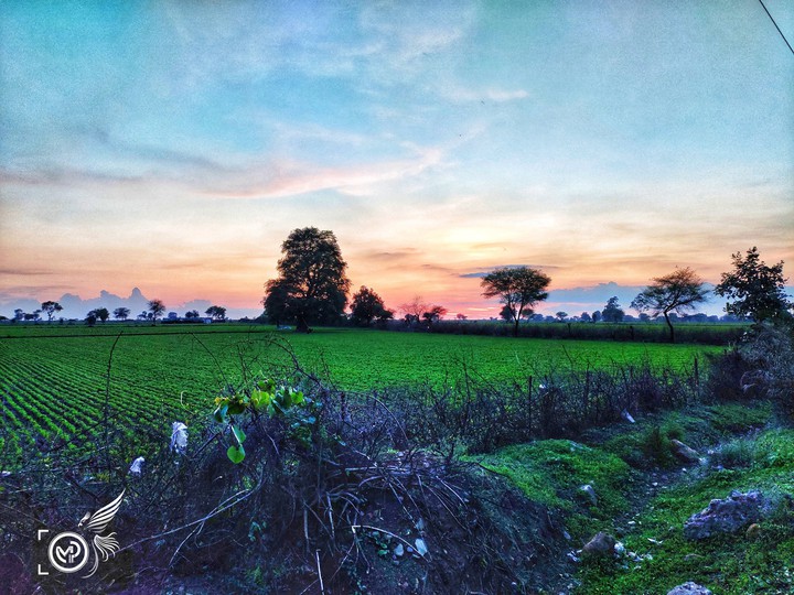many colours of evening