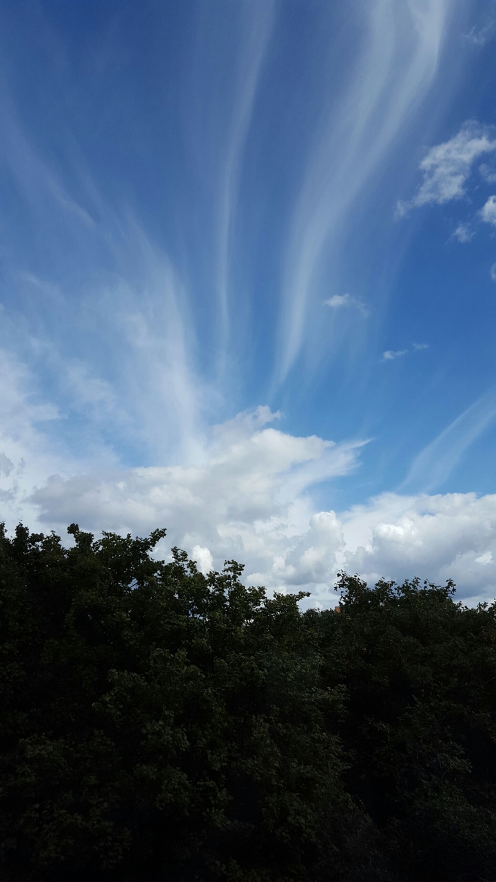 cloud trails