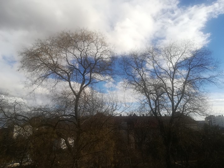 Sky