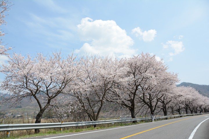 하동이미지