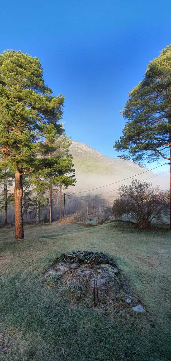 november morning