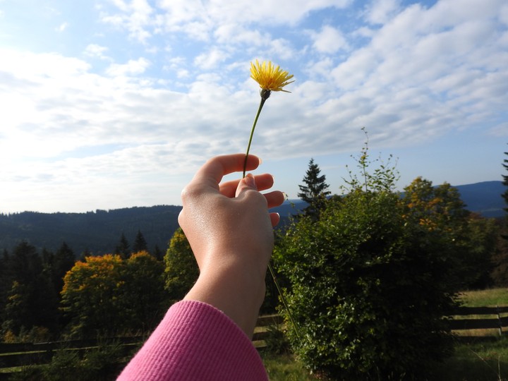 nature