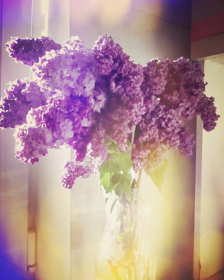 Flowers from my garden❤