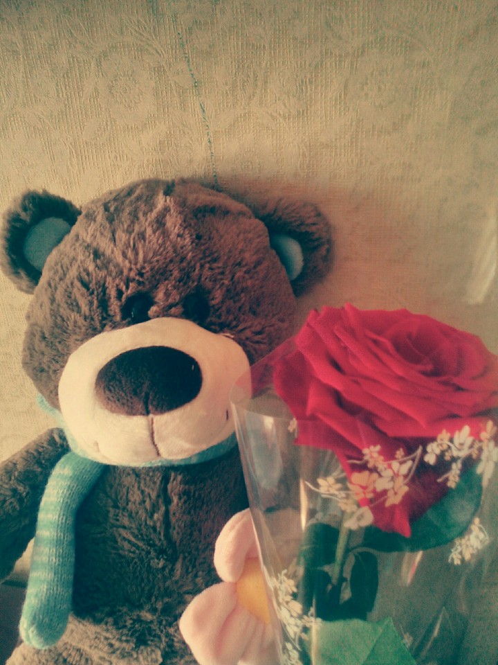 Teddy bear