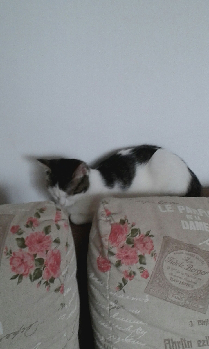 Asleep...