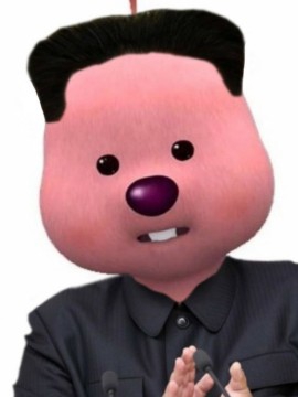루피